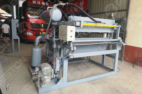 Affordable Egg Tray Molding Machine for Sale