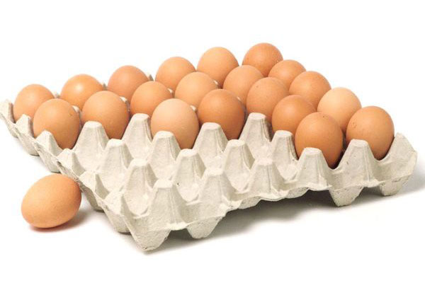 Biodegradable Egg Tray